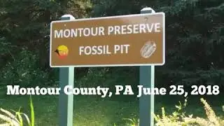 Earth geocache at The Fossil Pit