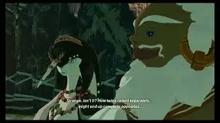 Hyrule Warriors: Age of Imprisonment - Chapter 14: Purging the Shadows (Very Hard)