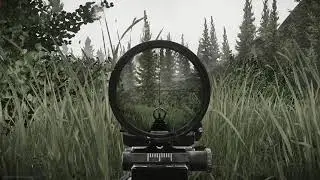 Lucky 5-man squad wipe | Escape from Tarkov