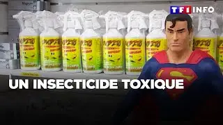 Contre les cafards et les punaises, un insecticide toxique｜TF1 INFO