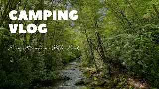Car Camping VLOG | Day in the life at Roan Mountain State Park