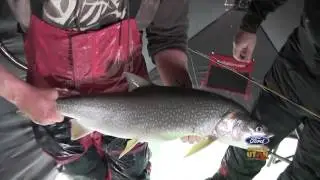 Ice Fishing Lake Trout with Addictive Fishing