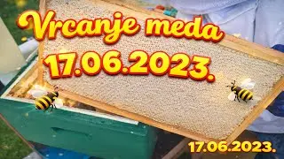 Vrcanje prolećnog cvetnog meda 🍯 Prvi med 2023  #pcelarstvo #pčelarstvo #bees #bienen #honey