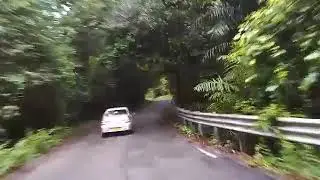 Karnataka forest  ತುಂಬಾ ಸುಂದರವಾದ ಕಾಡು ನಮ್ಮ ಕನ್ನಡ ನಾಡು  💚 &hearts; 💚 