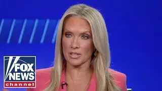 Dana Perino: Liberal city crackdown on legal gun owners is 'waste of time'