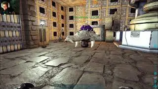 Ark death drop