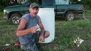 Simple, Moveable Watering System For Idaho Pasture Pigs | #idahopasturepigs #wisconsin #pasturedpigs