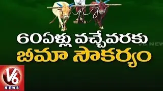 Telangana Govt Releases Guidelines For Rythu Bheema Scheme | V6 News