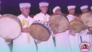 تيزويت ترفرف من جديد