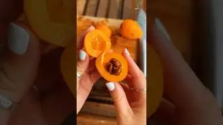 Loquat Fruit🍊🍊🍊🍊