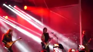 Bush 