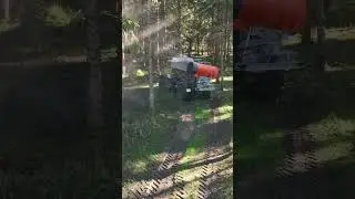 Bold Carbon Removal: Basalt Deployment on Forest Soil | Carbony Pilot Project