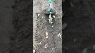 Rural Farmer #3382