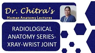 RADIOLOGICAL ANATOMY-SERIES- XRAY- WRIST JOINT