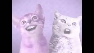 ANIMATED SPOOF MUSIC VIDEO NUMA CAT  LUIG GROUP 9