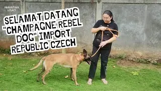 SELAMAT DATANG 