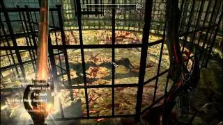 Skyrim- Faldar's Tooth