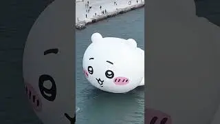 Chiikawa floating on the water.#Chiikawa #Usagi #cute #cool #friends #love #gift #toys #Hachiware