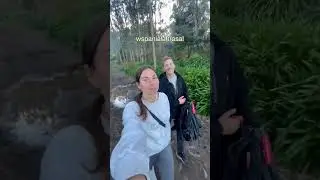 Madera | lot na Maderę | co zobaczyć na Maderze