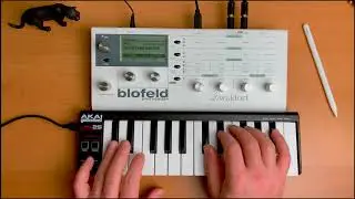 Waldorf blofeld Synthesizer