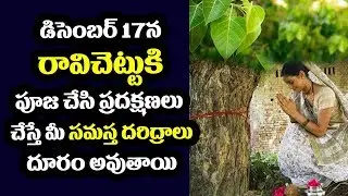 డిసెంబర్ 17 న రావిచెట్టు కి పూజ చేసి ప్రదక్షణలు | Ravi Chettu Pradakshina | Telugu | Trending