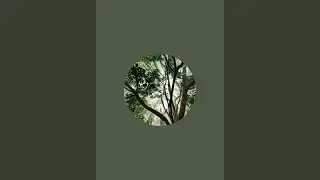 Real Wood Cutting is live