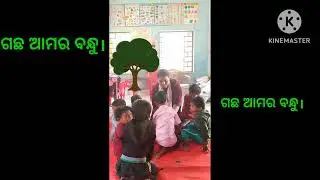ଗଛ ଆମର ବନ୍ଧୁ। ବୃ୍ଷରୋପଣ ଓ ତା'ର ଉପକାରିତା।DECE-Activity-6#Viral#Trending Vedio 🌿🌱🤩🙂🌼🌲☘️🍃🌿🌵🪴🍀🌼🥀🌺💐🌹🌷🌻💮🏵️🌸