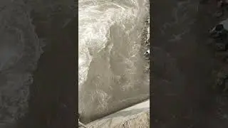 Darye Ravi head baloki