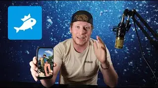 How to find big BASS!