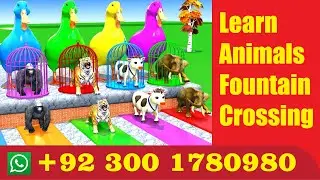Animal Fountian crossing pack | How to make a Stairs