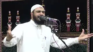 ذاق حلاوة الإيمان من رضي بالله ربا - الشيخ ابراهيم بشندى