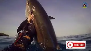Spearfishing Dog Tooth Tuna in Nias Island - Indonesia