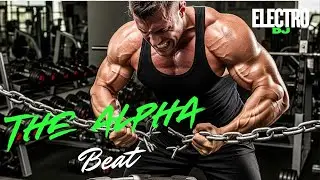 The Alpha Beat from Album To the Top | DJ Gym Workout Motivation Music (Copyright-Free Music)
