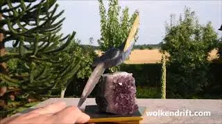 Edelsteinvogel Calzit Amethyst gmbird Vogel bird