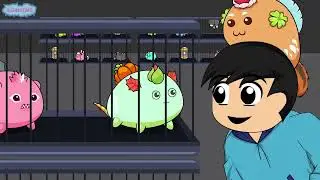 Axie Infinity Animation By Kornfinity