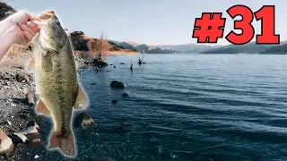 Bass Fishing In Cold Water Isn't About Luck - January Patience Play
