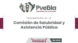 Comisión de Salubridad y Asistencia Pública - 11 de noviembre de 2025