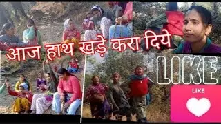 आज जंगल मे हाथ खड़े करवाये🙆💁दो दिन के लिए जंगल बद🤷👍