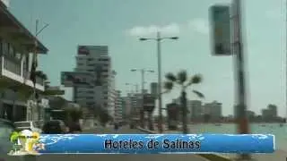 HOTELES DE SALINAS