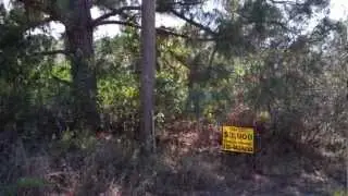 LAND FOR SALE IN SW FLORIDA