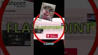 Con este programa volver&aacute;s a jugar TODOS los juegos Flash