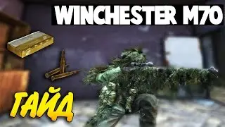 Winchester M70 Гайд - Локация, Оборудование и Урон | DayZ Standalone