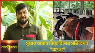 সুখের খামার নিয়ে বিশেষ প্রতিবেদন 