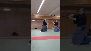 👀　２６-5　#YAGYUU #SHINKAGE #RYU Style #Aiming for Swords working Freely & Actively　　#Dharma:J YAGYUU