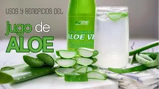 Conoce todos los usos y beneficios del Jugo de Aloe Vera de Exialoe 🍃 .: C&aacute;psulas de Bienestar :. 🌟