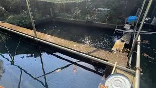 20251113飼育管理