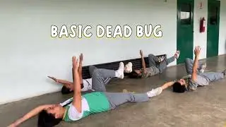 BIRD DOG VARIATIONS AND DEAD BUG VARIATIONS FROM GROUP 4 BSCE1-04 