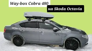 Автобокс Way-box Cobra 480 на Skoda Octavia