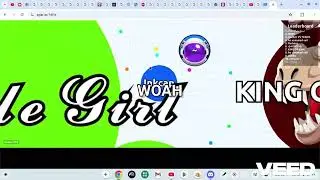 First time playing gar.io