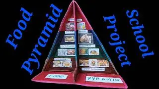 Food Pyramid Project ideas, School Project, #knowledge #cbse